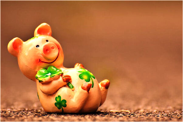 夢到了買小車開是什麼意思_周公解夢官網