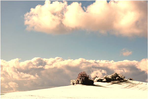 夢見把討厭的人東西扔掉是什麼意思_周公解夢官網