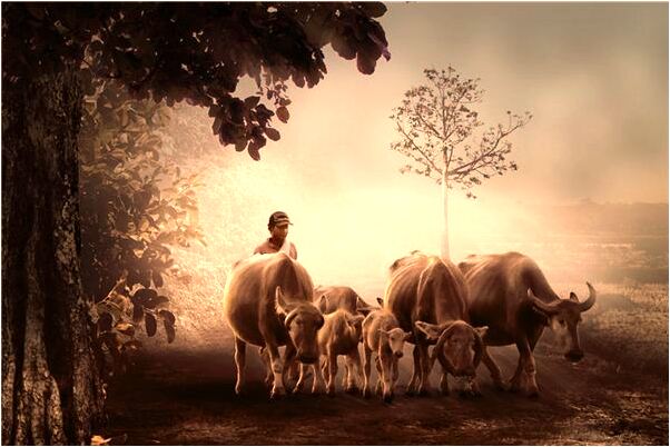 夢到水裡的仙女有什麼預示嗎_周公解夢官網