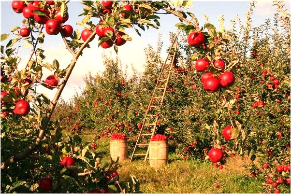 夢見和久別重逢的異性曖昧有什麼寓意嗎？_周公解夢官網