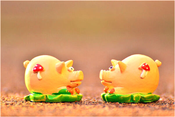 夢見被烏龜追趕會怎么樣_周公解夢官網