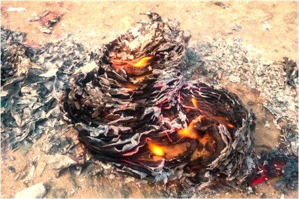 夢到往高處飛預示什麼_周公解夢官網