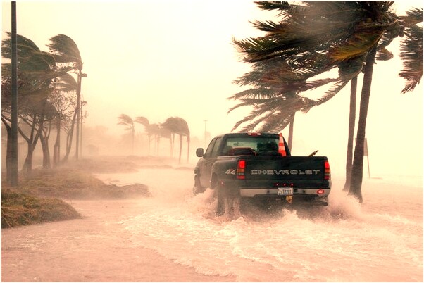 夢見好大一條白花蛇有什麼說法_周公解夢官網