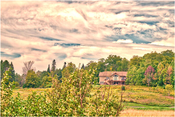 夢見愛上光頭男人是什麼預兆？_周公解夢官網