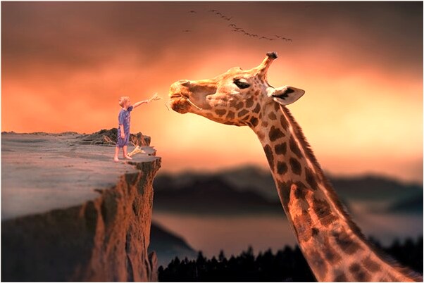 夢到了別人的車牌號啥意思_周公解夢官網