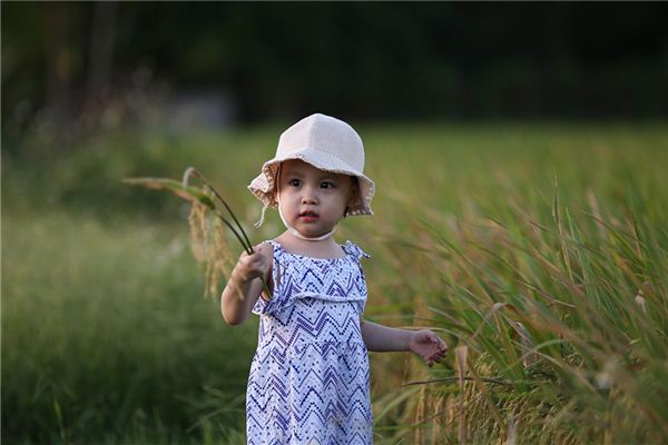 夢見生娃娃是什麼意思_周公解夢