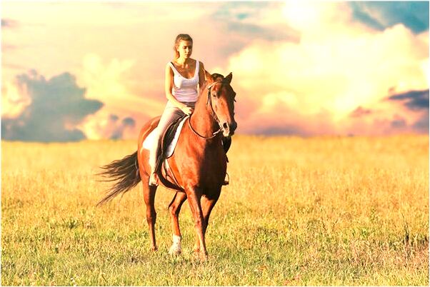 夢見跟吵架中的男友和好會怎么樣_周公解夢官網