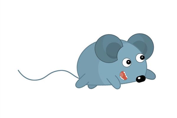 2020是什麼生肖_十二生肖