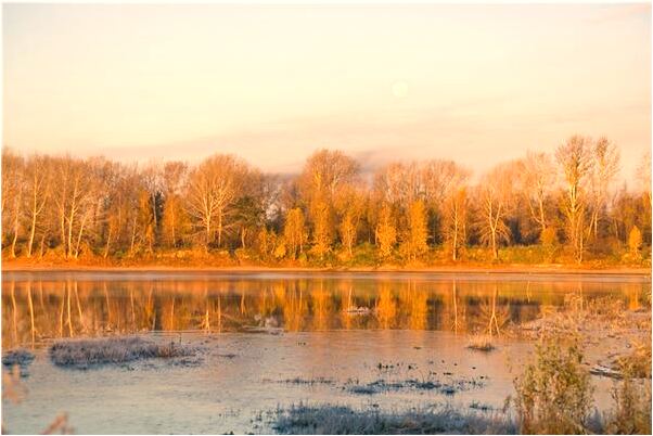 夢到了自己曾經的朋友學校是什麼預兆？_周公解夢官網