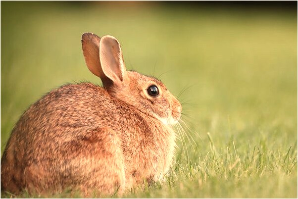 夢到了死去的人打我意味什麼_周公解夢官網