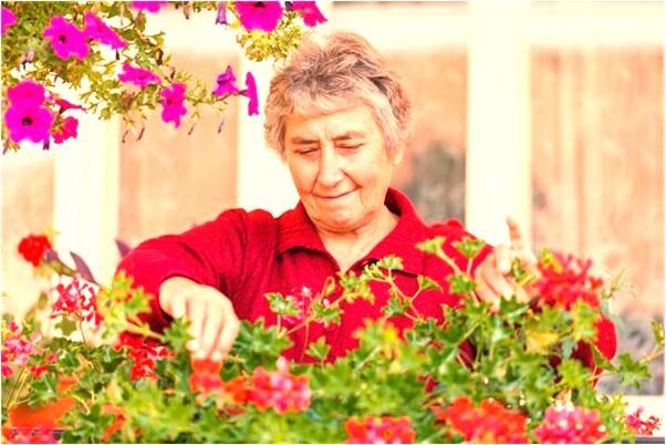 夢到被眼鏡蛇追著咬有什麼含義_周公解夢官網