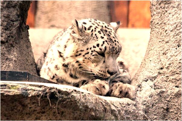 夢到一個女孩在幫自己口交有何寓意_周公解夢官網