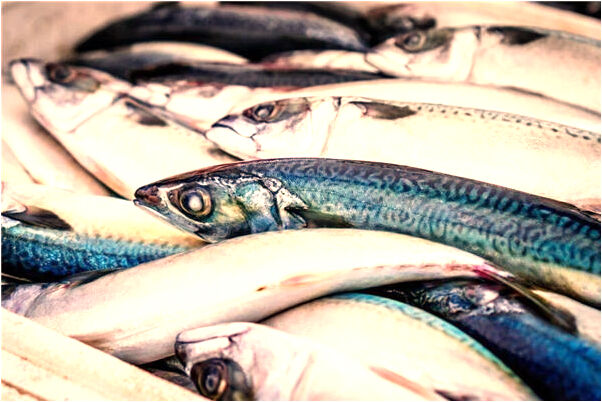 夢見天上天上有龍是什麼預兆_周公解夢官網