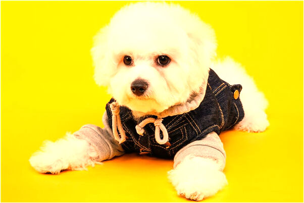 夢到了和同事吵架最後和好了會是什麼預兆_周公解夢官網