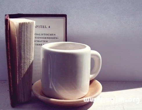 12星座的讀書收心守則_十二星座