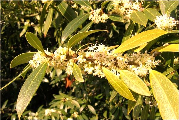 夢見座汽車路面有點不好走是什麼啟示_周公解夢官網