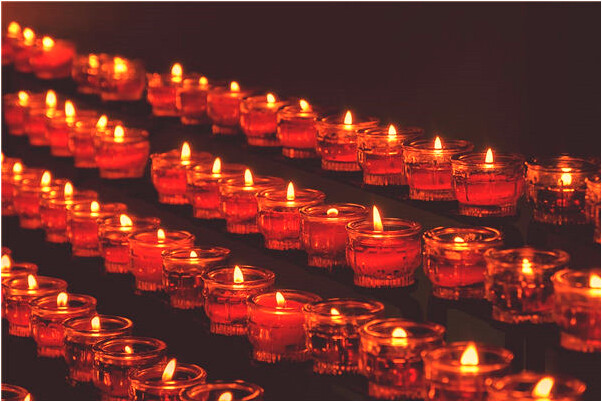 夢到野母豬預示什麼_周公解夢官網