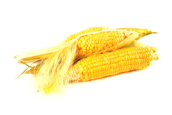 夢見小動物比如說雞鴨和狗有什麼寓意嗎？_周公解夢官網