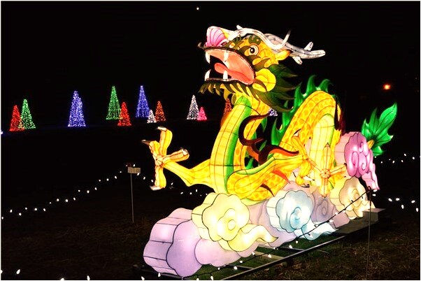 夢到老婆很多蛇代表著什麼？_周公解夢官網