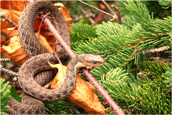 夢到了為別人寫名字預示著什麼_周公解夢官網