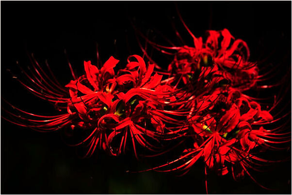 夢到了坐在船上預示了什麼_周公解夢官網