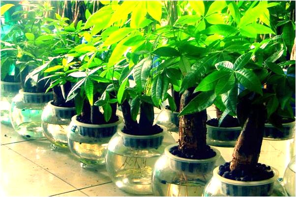 夢見求男朋友和好是啥意思_周公解夢官網