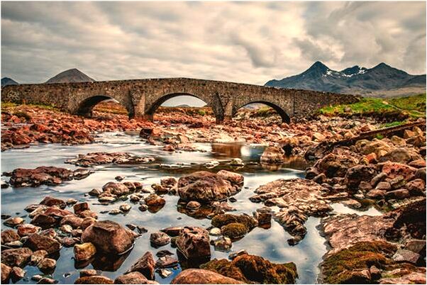 夢見龍頭魚身有何寓意_周公解夢官網