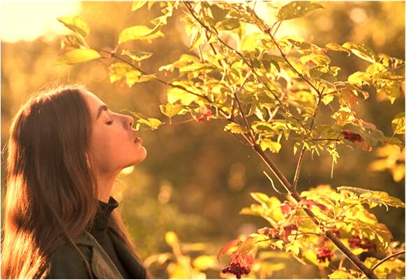 夢見荷花池有什麼意思嗎_周公解夢官網