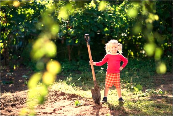 夢到了四顆門牙鬆動預兆了什麼嗎_周公解夢官網