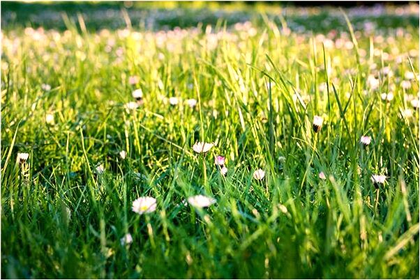 夢到了前男友要死是什麼徵兆_周公解夢官網