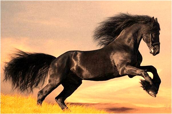 夢見去世的外公又活過來意味什麼_周公解夢官網