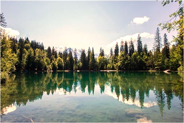 夢見冰櫃著火是什麼意思？_周公解夢官網