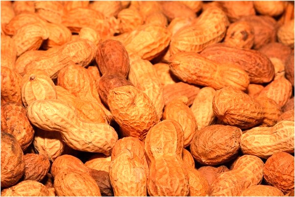 夢見在外婆家吃肉代表什麼_周公解夢官網