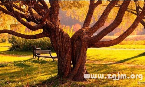 十二星座話秋天_十二星座