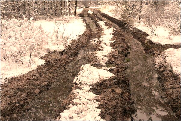 夢見貓頭鷹在自己家搭窩有什麼寓意嗎_周公解夢官網