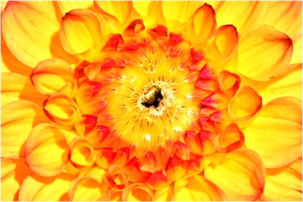 夢見自己的父母同時上吊有什麼說法_周公解夢官網