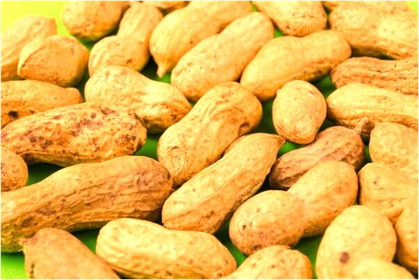 夢到了自己與他人照相意味著什麼_周公解夢官網