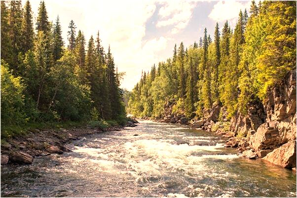 夢到我給小貓餵自己的奶是什麼兆頭_周公解夢官網