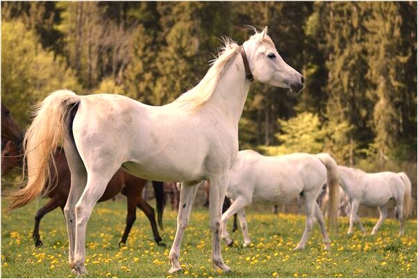 夢到了很想被男人搞是啥意思_周公解夢官網