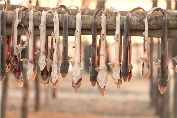 夢到了與妹妹破鏡重圓是什麼預兆？_周公解夢官網