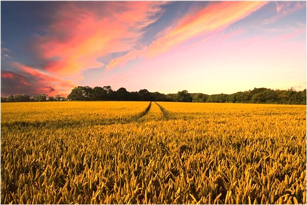 夢到喝酒自己吐了一身意味著什麼_周公解夢官網