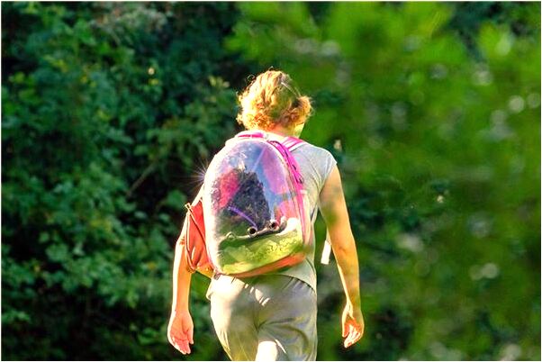 夢到建築物塌陷啥意思_周公解夢官網