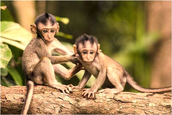 夢到了最愛的女人怎么回事_周公解夢官網