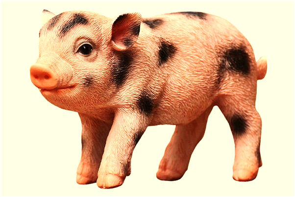 夢到水裡的生物很綠是什麼意思_周公解夢官網