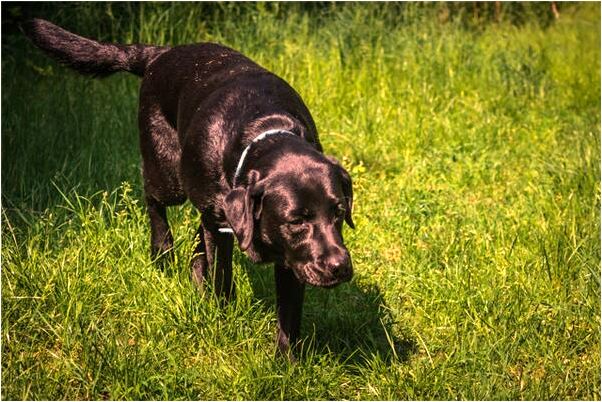 夢到與人的同性親熱怎么回事_周公解夢官網