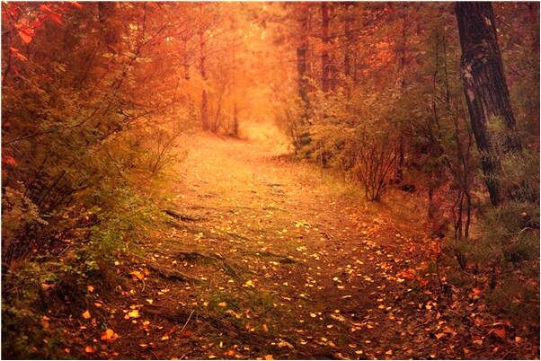 夢見女友和其他男生出去會是什麼預兆_周公解夢官網