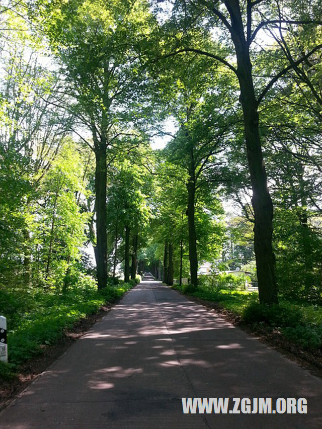 夢見自已趕時間去坐飛機_周公解夢夢到自已趕時間去坐飛機是什麼意思_做夢夢見自已趕時間去坐飛機好不好_周公解夢官網