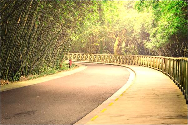 夢到了飽滿的玉米是什麼預兆?_周公解夢官網