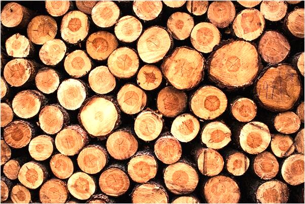 夢到了鞋和包都丟了怎么說_周公解夢官網