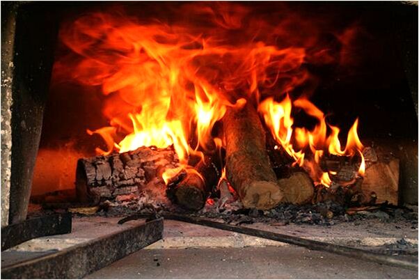 夢到了蜘蛛網上的蜘蛛代表什麼_周公解夢官網